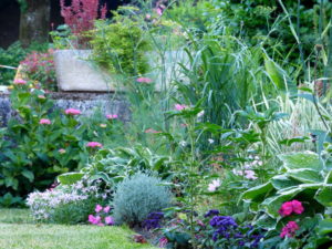 Le jardin fleuri de l'hôtel la Tonnellerie entre Blois et Orléans