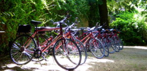 Vélos dans le jardin de hôtel la tonnellerie