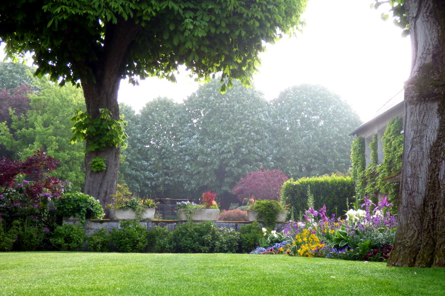 le jardin fleuri de l'hôtel la Tonnellerie de Tavers avec son marronier centenaire