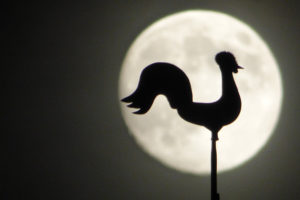 le coq de l'église de Tavers en ombre devant la lune vu depuis le jardin de l'hotel la Tonnellerie dans le val de Loire