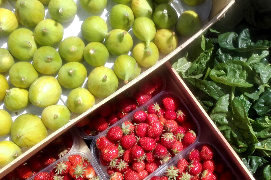 figues raises et épinards frais dans le jardin de l'hôtel la Tonnellerie de Tavers près de Beaugency