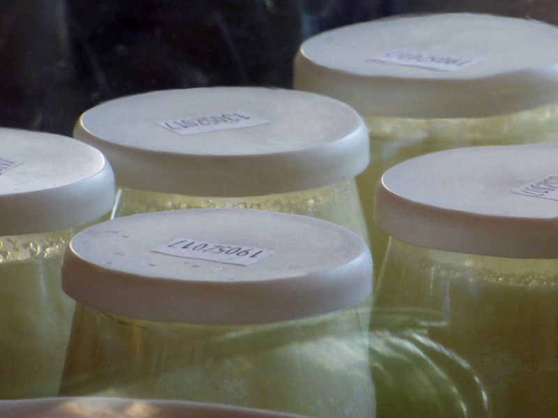yaourt maison à l'hotel ecolabel la Tonnellerie dans la vallée de la Loire