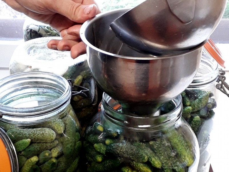 Mise en pots de cornichons au vinaigre à l'hotel ecolabel la Tonnellerie près de Chambord