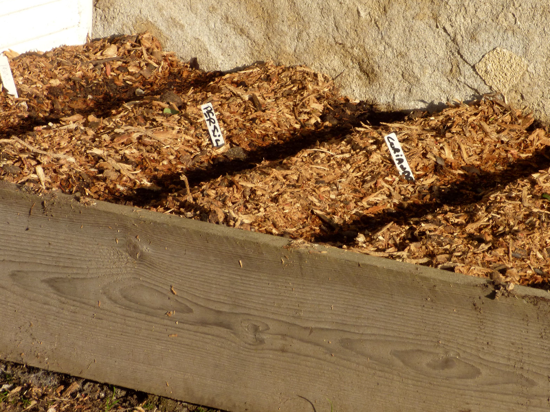 potager herbes aromatiques dans la jardin de hotel ecolabel la tonnellerie dans les chateaux de la loire