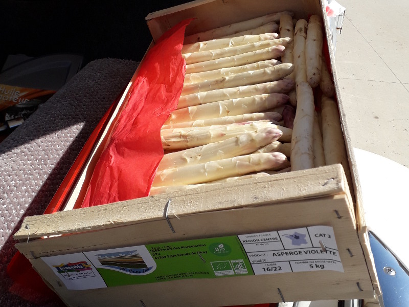 asperges bio proposées à l'hotel ecolabel la Tonnellerie dans la région des chateaux de la Loire