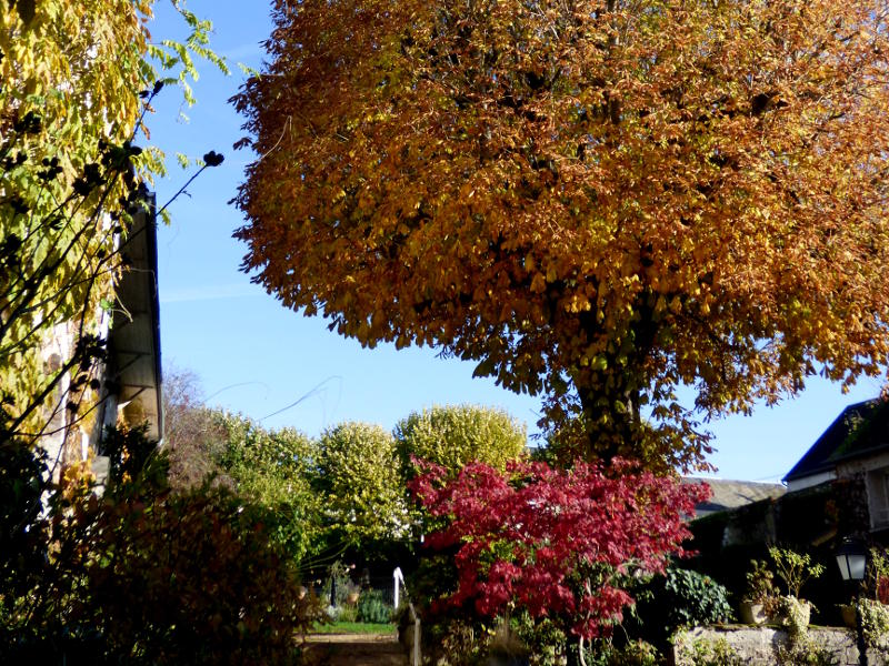 jardin de hotel la tonnellerie de Tavers près de Beaugency au milieu des chateaux de la loire