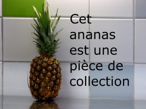 l'ananas bannit de la cuisine de hotel ecolabel la tonnellerie de tavers entre orléans et blois pour son bilan carbone catastrophique