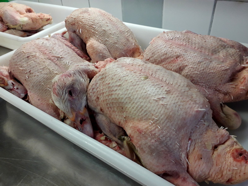 canards de la region centre dans la cuisine de hotel la tonnellerie de tavers près de meung sur loire dans le Loiret