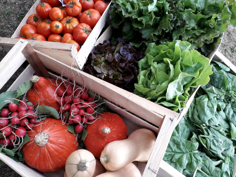 retour de marché pour l'approvisionnement en légumes bio de l'hotel la tonnellerie de Tavers