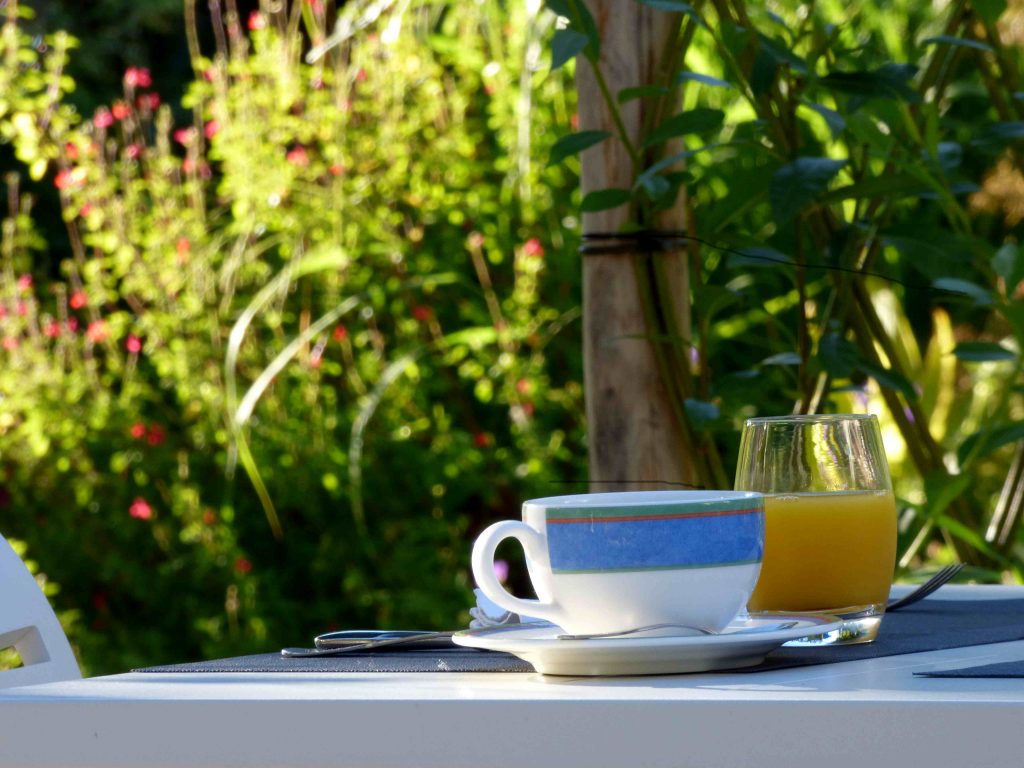 Le petit déjeuner est servi en terrasse à l'hotel la Tonnellerie entre Orléans et Blois