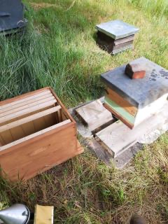 Nouvel maison pour les abeilles de l'hotel la Tonnellerie