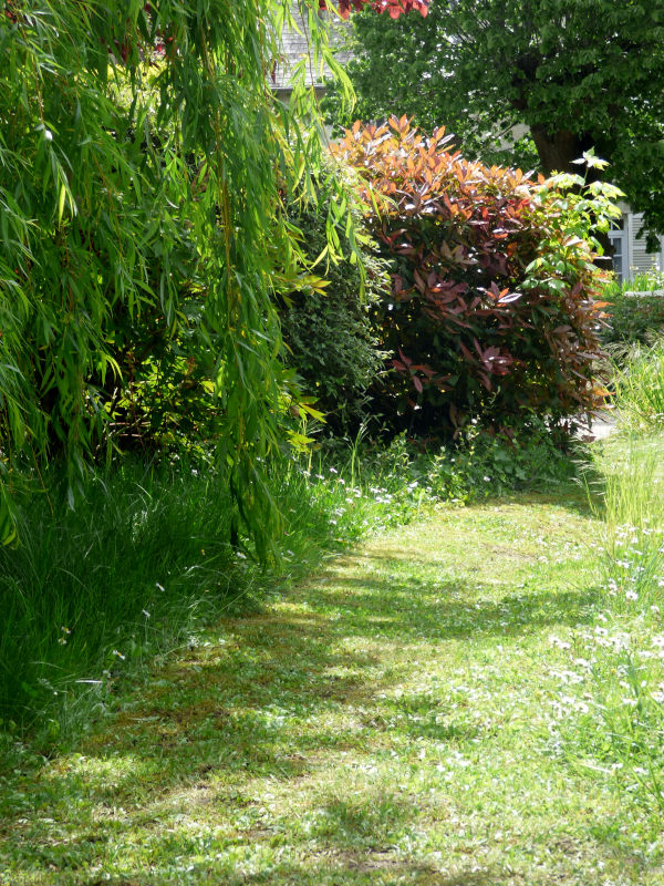 Tonte différenciée dans le jardin de l'hotel la Tonnellerie à Tavers entre Orléans et Blois dans la vallée de la Loire