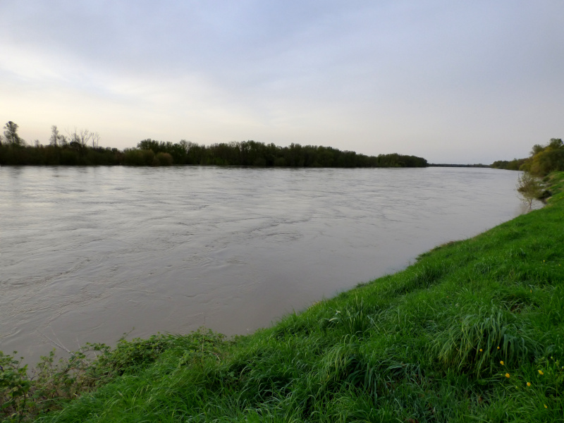 Magnifique largeur d'eau lit de la Loire en crue à Tavers entre Orléans et Blois en Avril 2024
